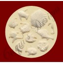 SHELLS & FISH No.1