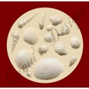SHELLS No. 1