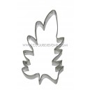 PHILODENDRON LEAF 1