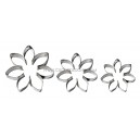 DAISY No. 8   7 PETALS  